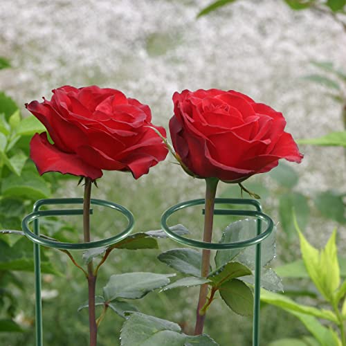 12 Pack Plant Supports for Indoor Plants,40cm Garden Stakes with 24 Orchid Clips,Garden Single Stem Metal Plant Support Stake with Plant Clips for Flowers Tomatoes Lily Peony Rose Flower Stem - Image 4