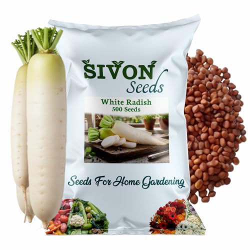 Image of SIVON White Raddish (Safed Mooli) (500 Seeds) Vegetable Seeds for Home Garden, Organic & Hybrid, Perfect for Home Gardening, Planting For Pots and Patio