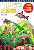  コリドラス大図鑑―All About Corydoras