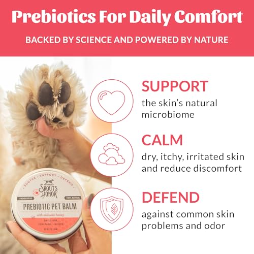 Image of SKOUT'S HONOR Prebiotic Pet Balm - 100% Natural and Made w /Manuka Honey to Promote Healing of Your pet's paw Pads and Nose, Soothes Dry, Itchy Paws and Noses - Safe for Cats and Dogs, 2oz, 2-Pack