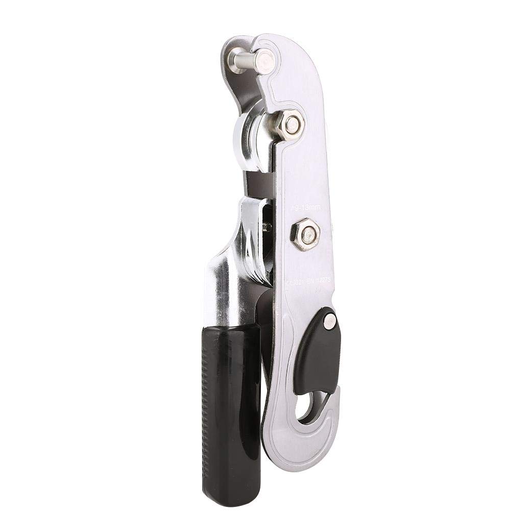 Keenso Dispositivo de Descenso descendente EN 12275, Dispositivo de Control Manual antipánico para Exteriores para Escalada en Roca Protección Auxiliar anticaída descendente