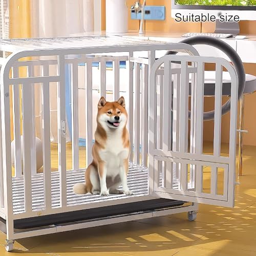 Cage robuste pour chien en cuir blanc résistant haut de gamme