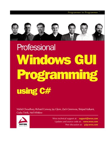Professional Windows Gui Programming Using C#