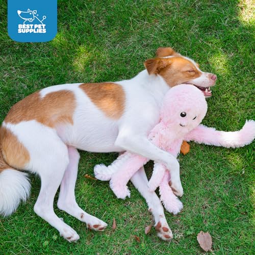 Image of Best Pet Supplies Interactive Squeaky Dog Chew Toy, Ideal Dog Toys for Chewers, Small, Medium & Large Dogs, and Fetch Lovers - Octomutant (Pink), Large