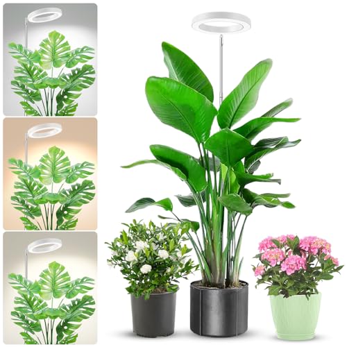 Image of Aokrean Halo Plant Grow Light for Indoor Plants, 6.3in Full Spectrum White | 1 Pack, 10-65 in Height Adjustable, 80 LEDs Growing Lamp with Auto Timer for 6 /12 /16Hrs, 3 Optional Spectrums, 5 Brightness