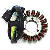 polaris phoenix 200 service manual pdf  Alternatore Magneto Stator Coil Bobina Magnetica Generatore Statore Bobina di Statore Adatto per Polaris Phoenix 200 Sawtooth Phoenix 200 Quad 0454947 0454228 0452449