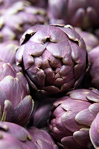 960mg Viola Carciofo Violetto di Chioggia Italiano Heirloom 20 + semi perenni