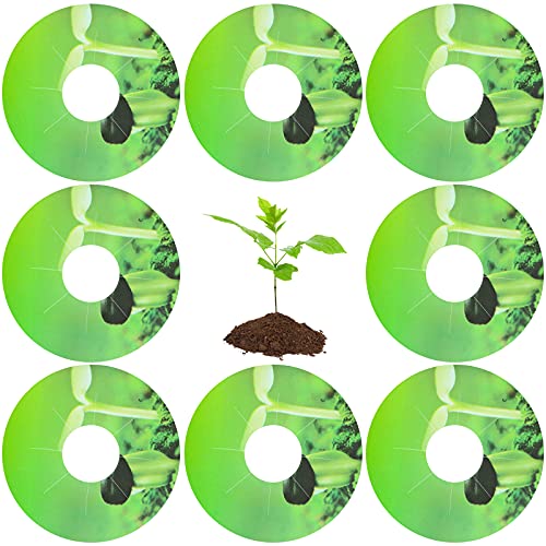 Étiquettes rondes PVC pour pot de graines et semis de plantes