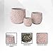 XBrand Set of 3 Fiberstone Cement Round Indoor Outdoor Planters, Modern Decorative Plant Pots with Drain Hole for All House Plants, Succulents & Flowers, 16