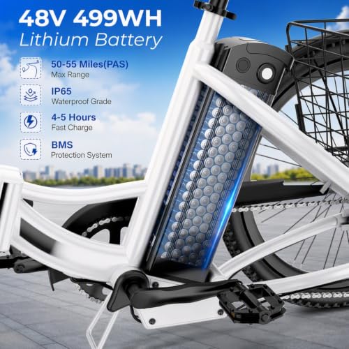 ANCHEER Electric Tricycle for Adults
