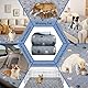 Waschbar Haustier-Urinunterlage, 2 Stück Wiederverwendbare Welpenunterlagen Matte für Hunde, Schnell Absorbierend Puppy Pads für Hunde, Katzen, Meerschweinchen -- 45x60cm