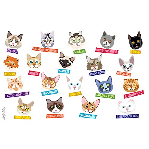 Tervis Flat Art - Cats Tumbler With Wrap And Lime Green Lid 16Oz, Clear #TOP1