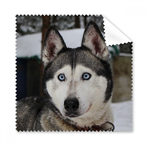 Cadeau tissu de nettoyage Husky original pour amoureux des chiens