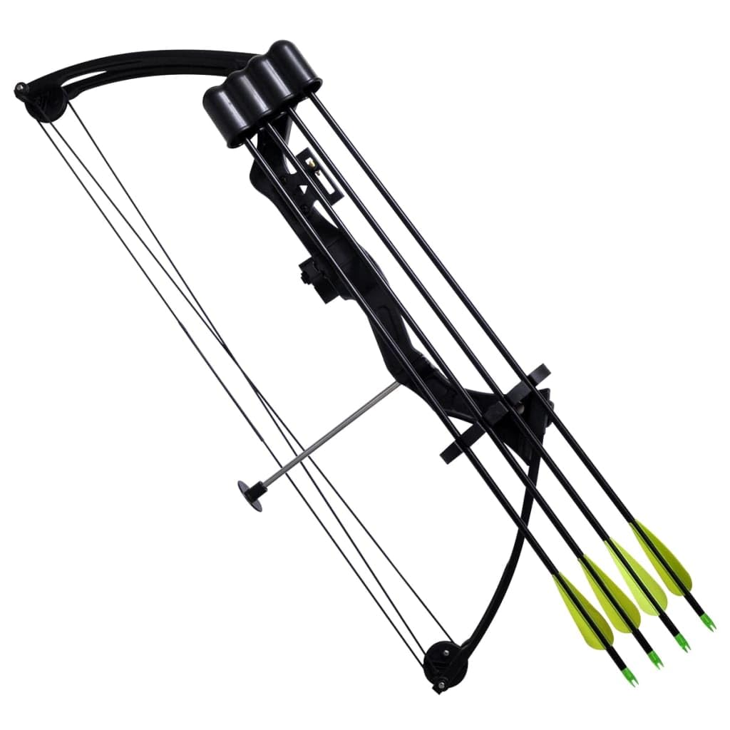 vidaXL Arc à Poulies pour Adolescent avec Accessoires Flèches en Aluminium