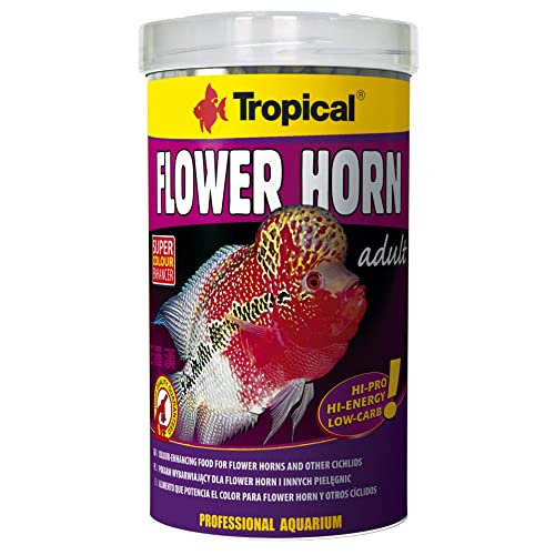 See full amazon price history chart for TROPICAL Flower Horn Adult Pellet (190 g) TROPICAL Flower Horn Adult Pellet (190 g) (B008ASY0R8) Amazon Price History, Amazon Price Tracker