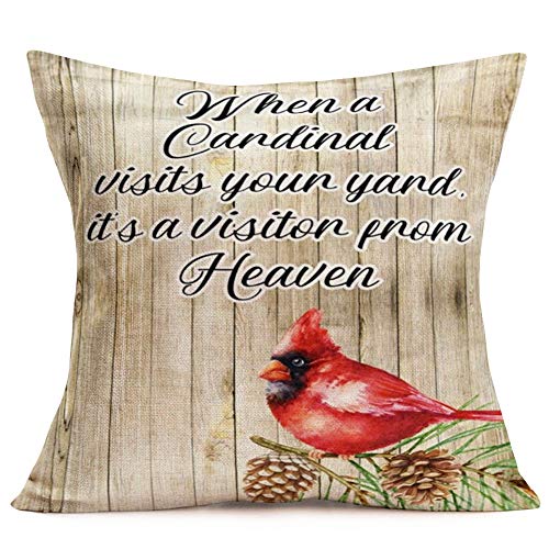 ShareJ Throw Pillow Covers When Cardinal Visits Your Yard, It's A Visitor from