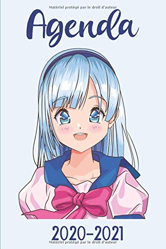 Télécharger Agenda 2020-2021: Agenda Semainier 2020-2021 – Planificateur hebdomadaire Personel, Scolaire ou Pr Gratuit