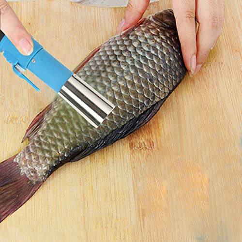 Elektrischer Fischschupper – Kabellos Mit Lithium-Akku (12 V, 2000 MAh) – Inkl. Ladegerät (EU-Stecker) – Leistungsstarker Motor 56 W – Für Karpfen, Barsch & Co.