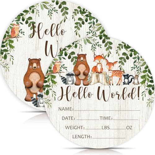 Image of Birth Stat Sign for Newborn, Woodland Animals Baby Announcement, Forest Hello World Name Sign for Hospital Birth Announcement, Gift for New Mom, Baby Shower, Pregnancy Announcement, Photography Prop