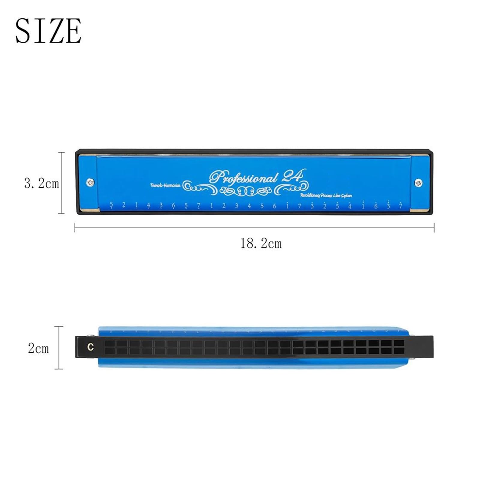 Armonica Armonica A Bocca Professionale A 24 Fori Con Custodia Per Principianti Strumento A Fiato Armonica A Bocca(Blue)
