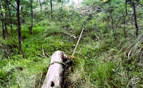 Image of DOWN UNDER OUTDOORS Heavy Duty 3 /8 inchx 10ft Grade 70 Recovery Log Chain