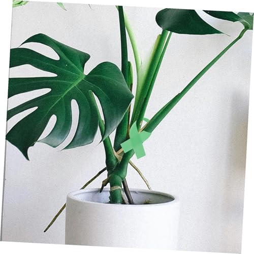 EXCEART 3[ ApK[ftLVuC[  ϋv|oh AŒXgbv NC~OcʎpprP