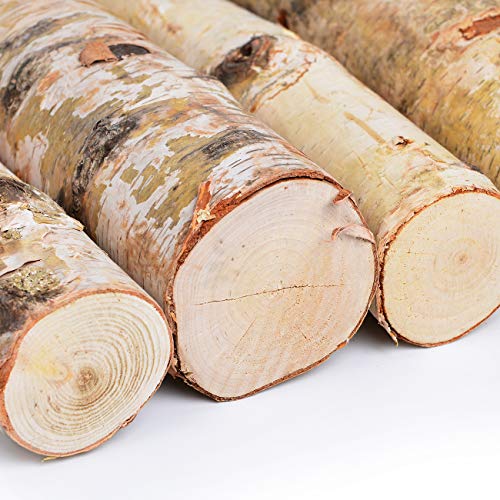 Kingcraft 6 Pack Large Birch Logs For Fireplace Unfinished Wood Crafts Diy Home Decorative Burning(Logs:2.4"-3.1" Dia. X 16" Long) #TOP3