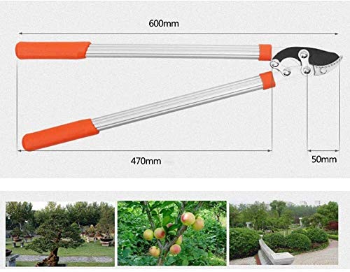 Cesoie da giardino estensibili portatili Troncarami a cricchetto Troncarami da giardino Taglierina da giardino Utensili per cesoie per rami Durevole Ergonomico antiscivolo Manico arancione