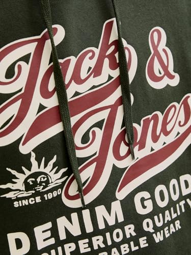 JACK & JONES Jjelogo Sweat Hood 2 Col 25/26 Noos – Ansicht 5
