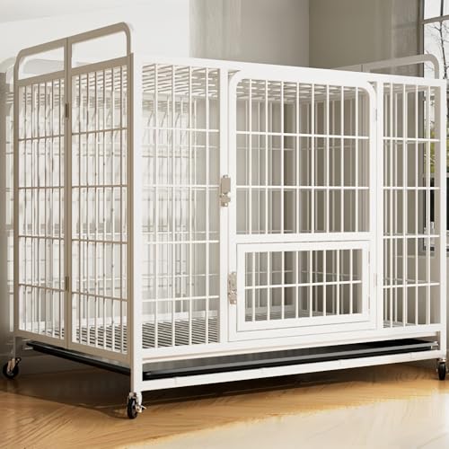 JoFist ybgP[WALX^[t̋܂肽ݎpP[WAgݗĊȒPAȒPA݂Xy[XAőϋvA^Ƒ^ɓKĂ܂ (܂肽݃C[fw95*65*85x,zCg)