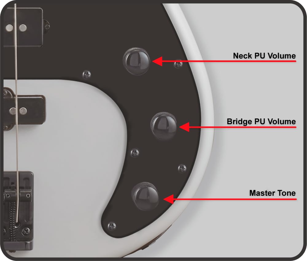 Amazon | GrassRoots G-AP-PJ Deep Metallic Blue エレキベース グラス