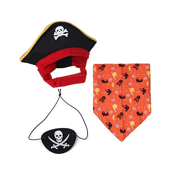 Anelekor pet dog halloween costume cat pumpkin hat and spider bandana set halloween cat apparel with glasses funny pet clothes for small dogs kitten kitty - image 3