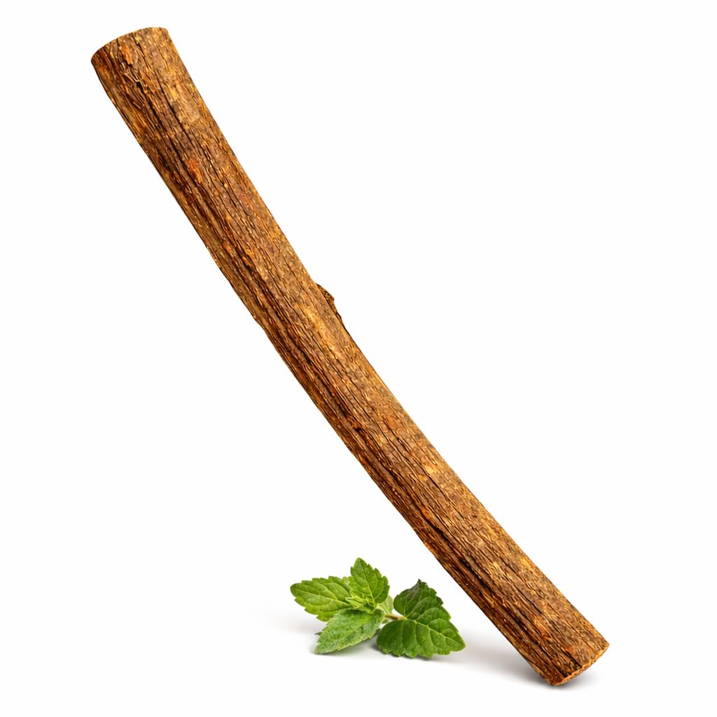 Silvervine Stick for Cats with Catnip Oil - Matatabi Cat Dental Chew Toy, Natural Teeth Cleaning Kitten Teether - Made in USA (1-Stick, Catnip)