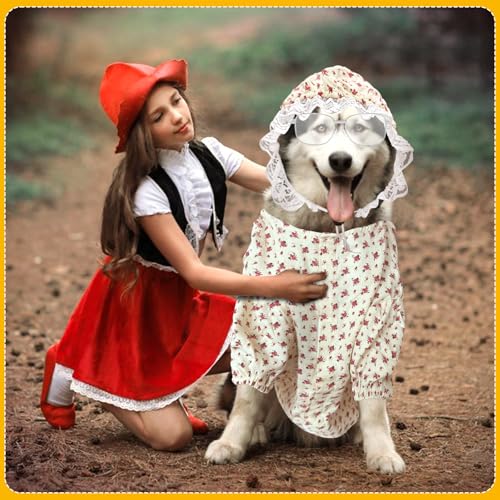 3-teiliges Kostüm für alte Dame für Hunde, Oma, Hundekostüme und Hut, lustige Retro-Sonnenbrille für Halloween, Hundeparty, Cosplay (5 XL)
