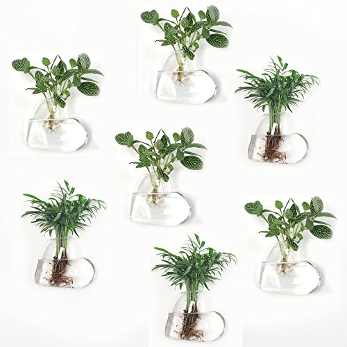 Pack of 7 Hanging Planters Glass Heart Shape Hanging Plant Containers Glass Air Plant Terrariums Flower Pots Hanging Air Plant Pots Glass Terrarium Hanging Flower Pot