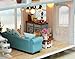 Flever Dollhouse Miniature DIY Musical House Kit Creative Room with Furniture for Romantic Valentine's Gift(Caribbean Captain)