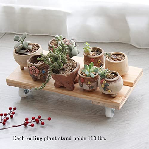 Panier à plantes en bois évite mal de dos base rouleau robuste