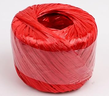 ASEANAO Polyester Nylon Plastic Rope Twine, Household Bundled for Packing Gardening Craft,20 MM Width and 100m Length Red, 95348