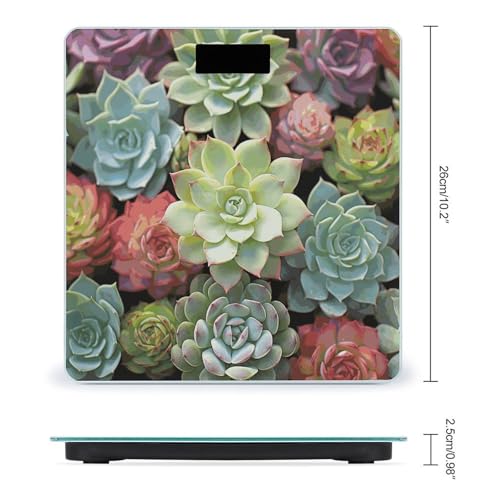 Báscula Digital Green Succulents de Vidrio Templado miniatura 2