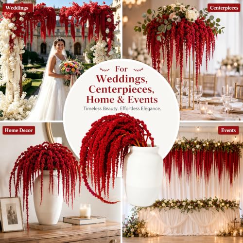 5 Pack Flores Colgantes Secas de Amaranto Rojo para Decoración miniatura 7