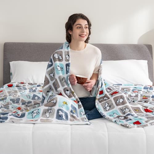 Image of Berkshire Blanket Peanuts VelvetLoft Cute Character Snoopy Plush Blanket,Woof Blue,Full /Queen 90 in x 90 in (Official Peanuts Product)