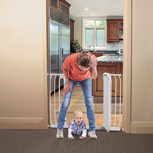 Top 10 Best dream baby gate Reviews NecoleBitchie