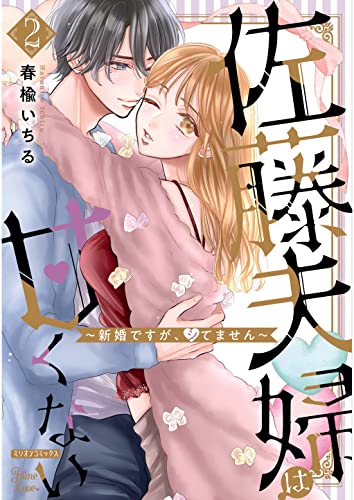 佐藤夫婦は甘くない~新婚ですが、シてません~【電子版限定特典付き】 2巻 (姫ラブ)