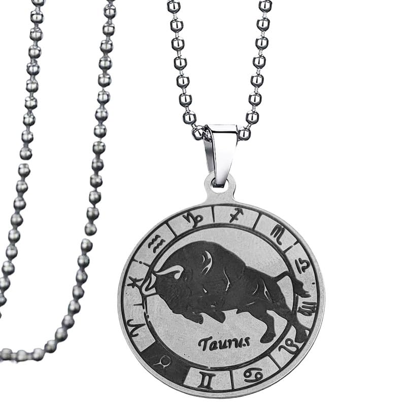 M Men Style 12 Constellation Coin Pendant Necklaces Horoscope Astrology Zodiac Sign Zodiac Jewelry Birthday Gift for Women Men