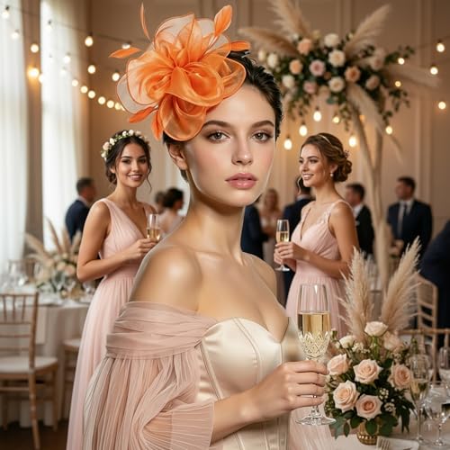 Image of DRESHOW Fascinators Hat Tea Party Headwear Ribbons Feathers on a Headband and a Clip for Women