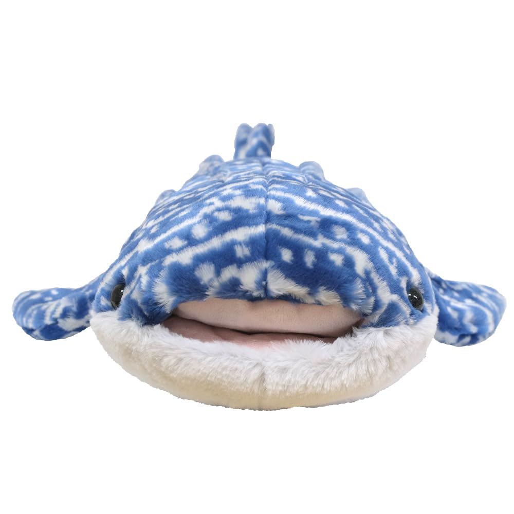 Amazon.co.jp: サンレモン ひざじんべえざめ M P-9352 : おもちゃ