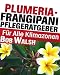Produktbild Plumeria - Frangipani Pflegeratgeber Fuer Alle Klimazonen
