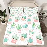 Cute Cactus Bed Sheet Set for Girls Kids Bedroom Gift Child Boho Succulent Fitted Sheet Tropical Botanical Pattern Bedding Set Watercolor Pastel Pink Green Decor 3 Pcs Full Size