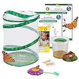 Insect Lore Butterfly Garden with Live Cup of Caterpillars | English and Spanish STEM Activity Journals | 5 Painted Lady Butterfly Baby Caterpillars and Mesh Habitat