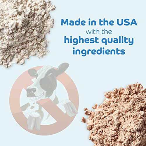 No Udder Protein Dairy Free Vegan Soy Free Protein Powder, Vanilla Delight - Thumbnail 7
